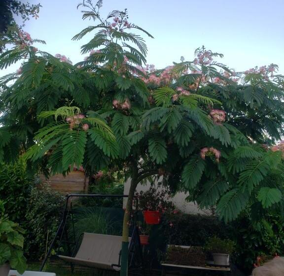 住宿加早餐  La Salamandre, Chambre D Hôtes