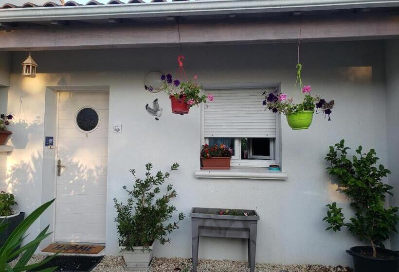 住宿加早餐  La Salamandre, Chambre D Hôtes