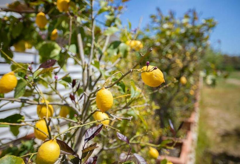 민박 La Vecchia Tortuga