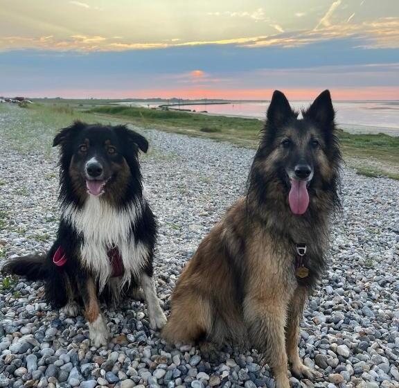 ベッドアンドブレックファースト La Villa Saint Val