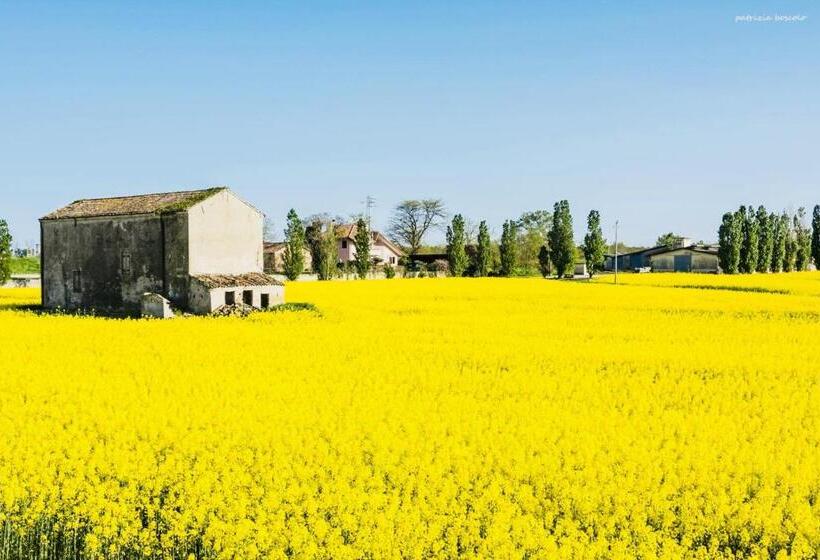 مبيت وإفطار La Zia Acida