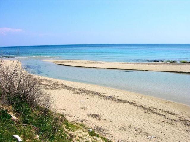 مبيت وإفطار Lu Masunu