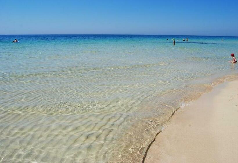 مبيت وإفطار Lu Masunu