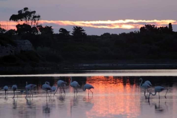 مبيت وإفطار Lu Masunu