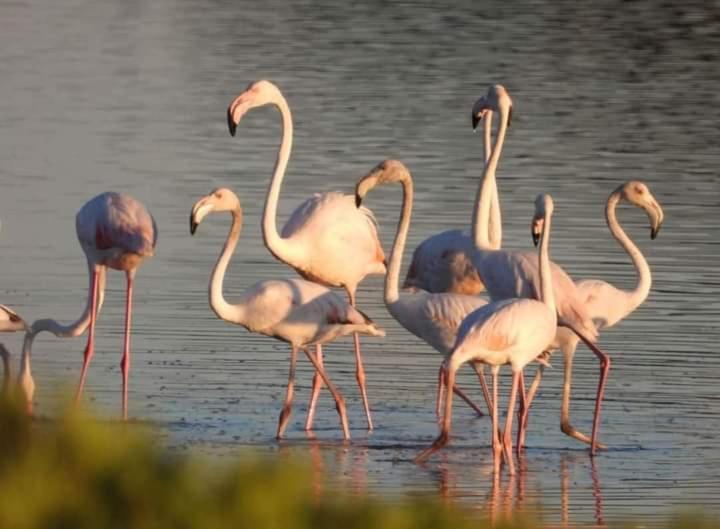 مبيت وإفطار Lu Masunu