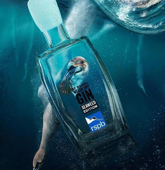 مبيت وإفطار The Cathedral Villas