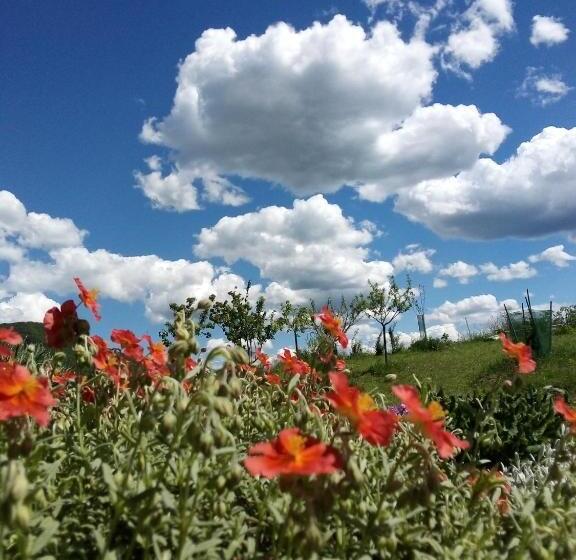 مبيت وإفطار Timo E Rosmarino