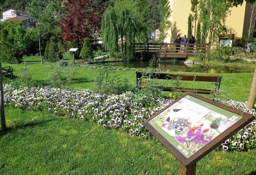 Bed and Breakfast Vesuvio House Appartamento Indipendente E Centrale