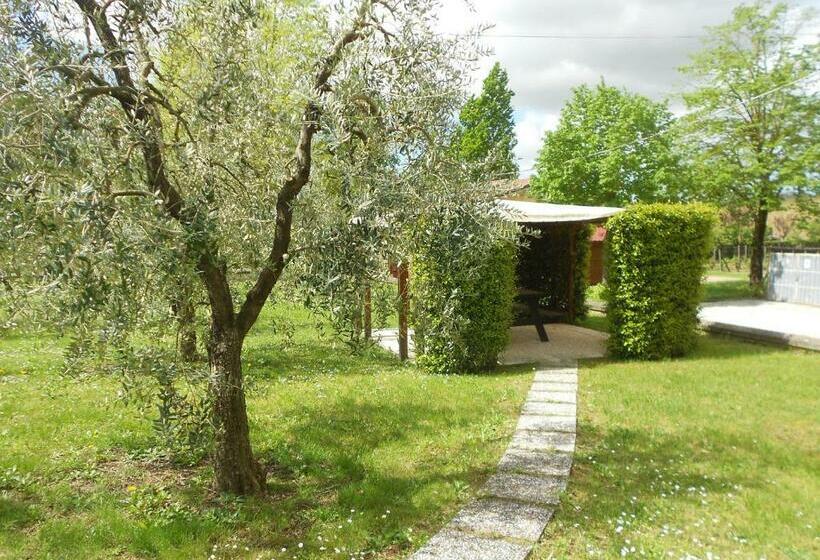 Отель Agriturismo Barbarino