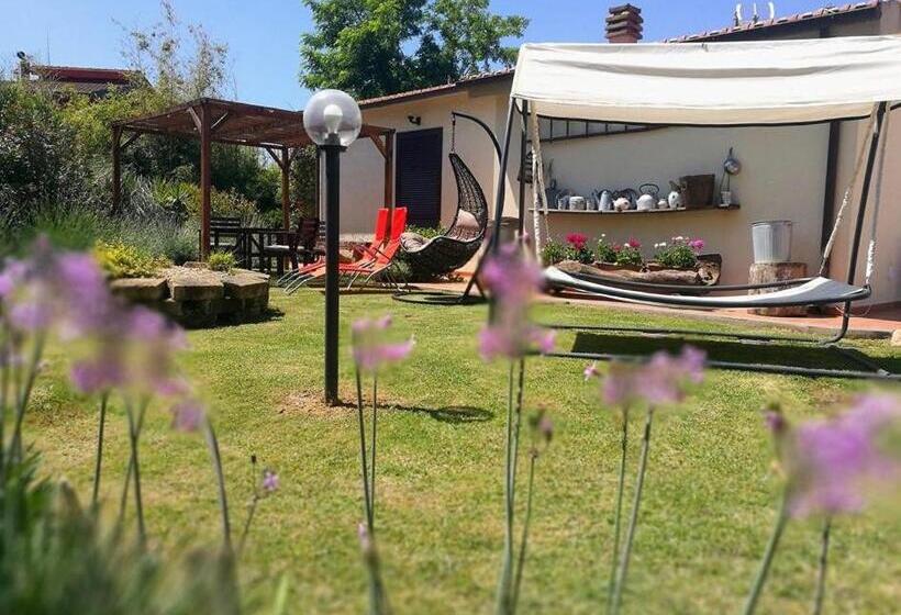 Отель Agriturismo La Valle Dell Albegna