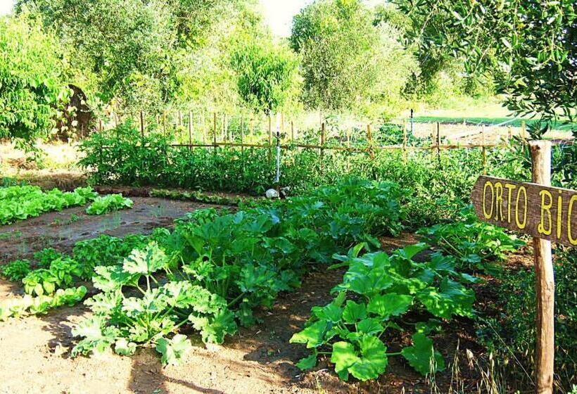 酒店 Agriturismo La Valle Dell Albegna