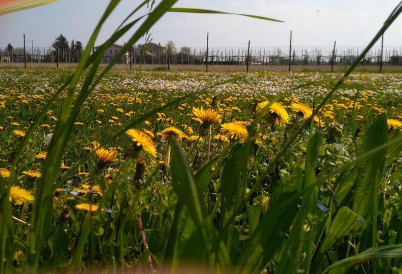 酒店 Agriturismo Taglio Del Re