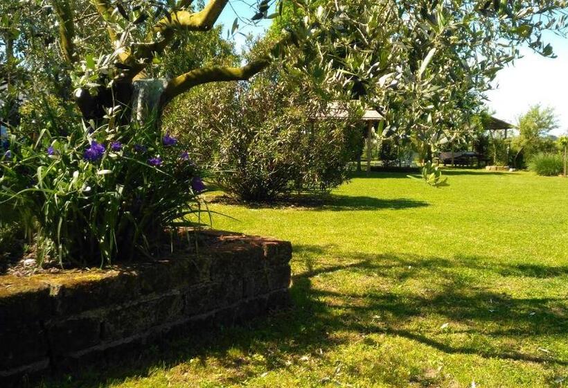 酒店 Agriturismo Taglio Del Re