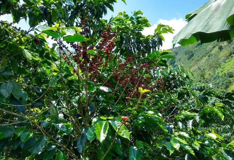 호텔 Alojamiento Rural Altos Del Molino