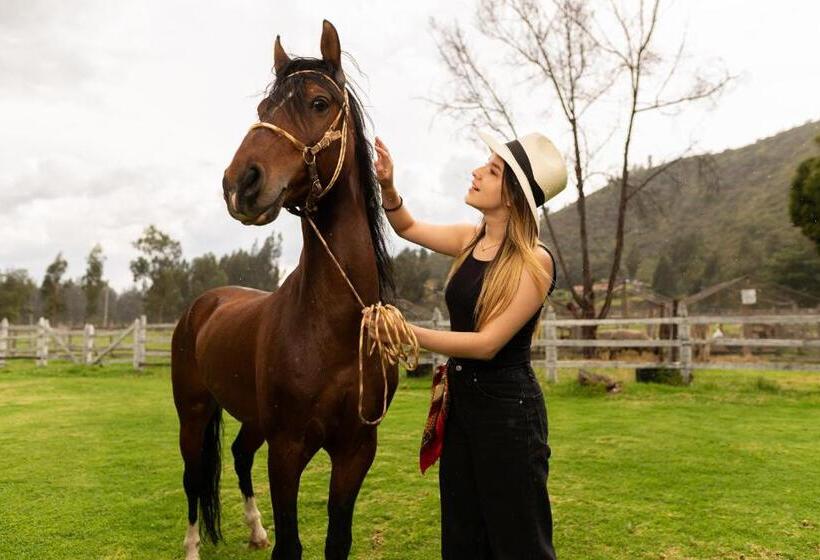 فندق Hostal San Nicolás