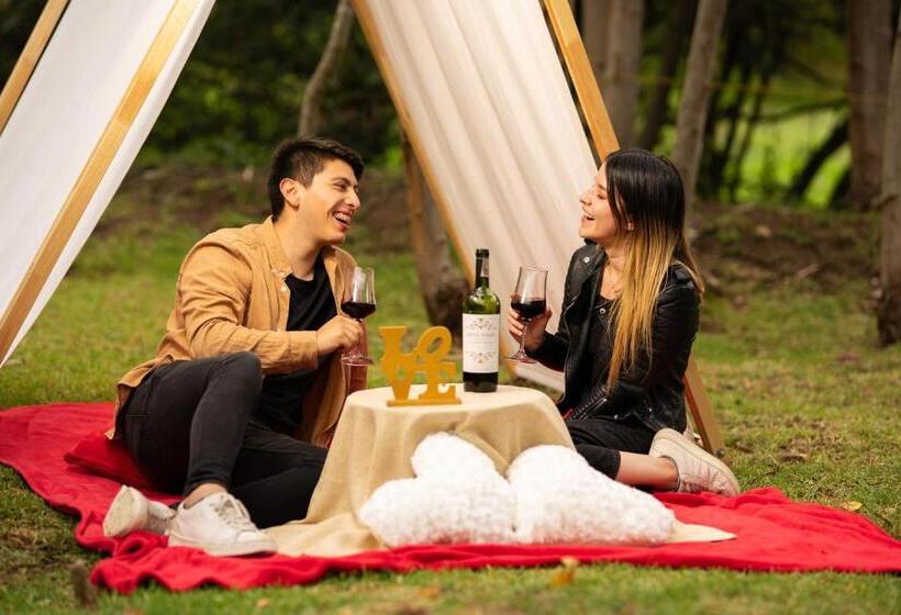 فندق Hostal San Nicolás