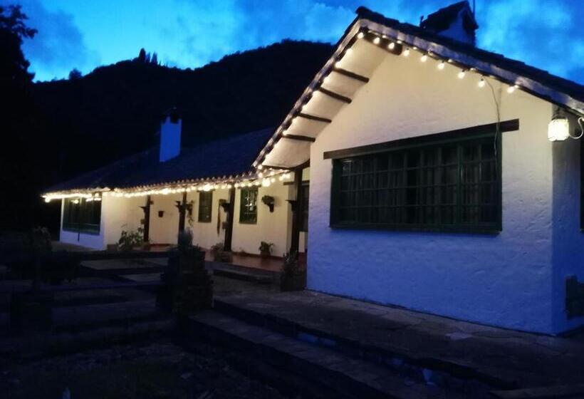 فندق Hostal San Nicolás