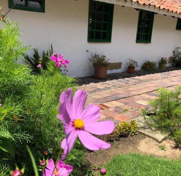 فندق Hostal San Nicolás