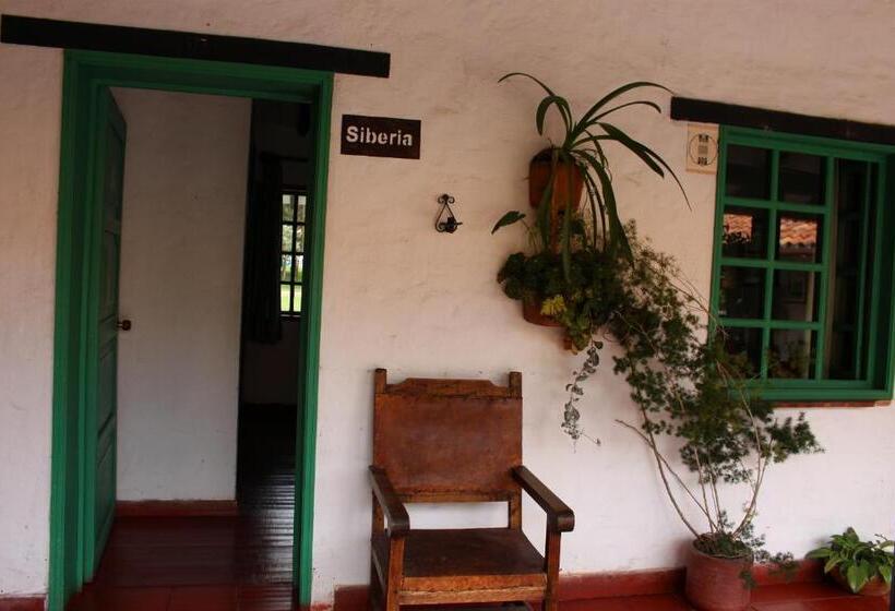 فندق Hostal San Nicolás