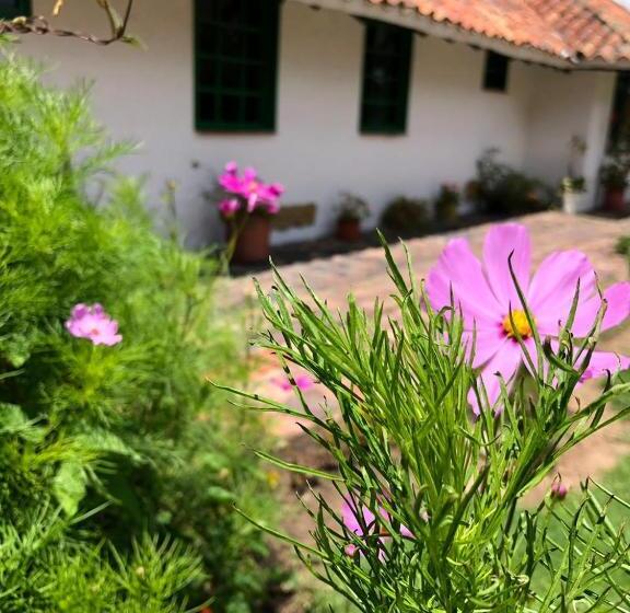 فندق Hostal San Nicolás