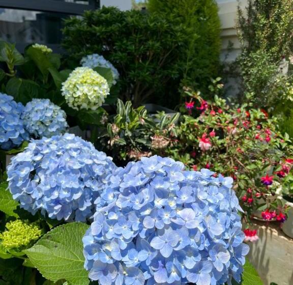 هتل ánh Vân Villa