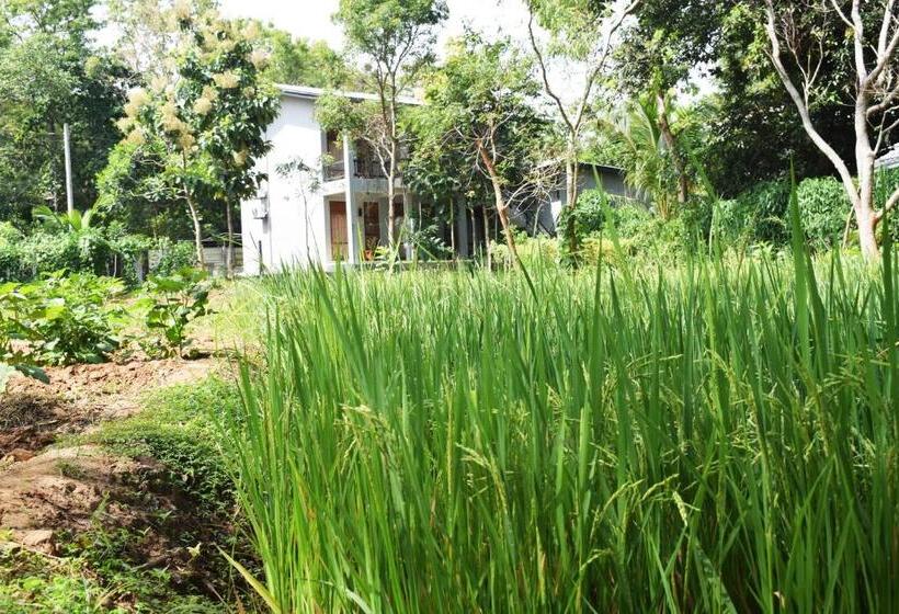 ホテル Nildiya Riverside Safari