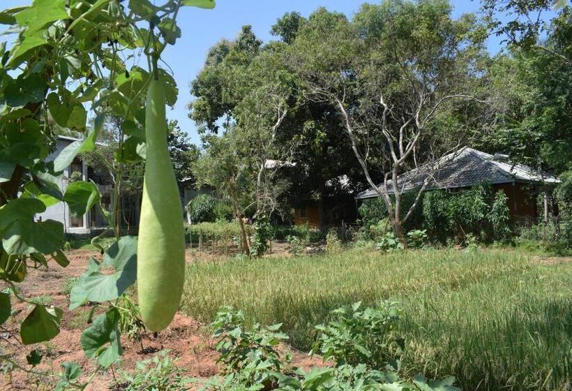 ホテル Nildiya Riverside Safari