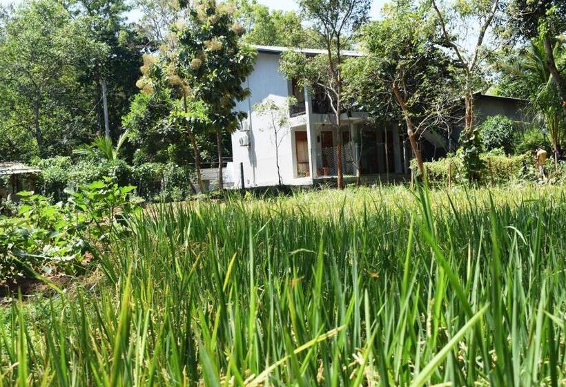 ホテル Nildiya Riverside Safari