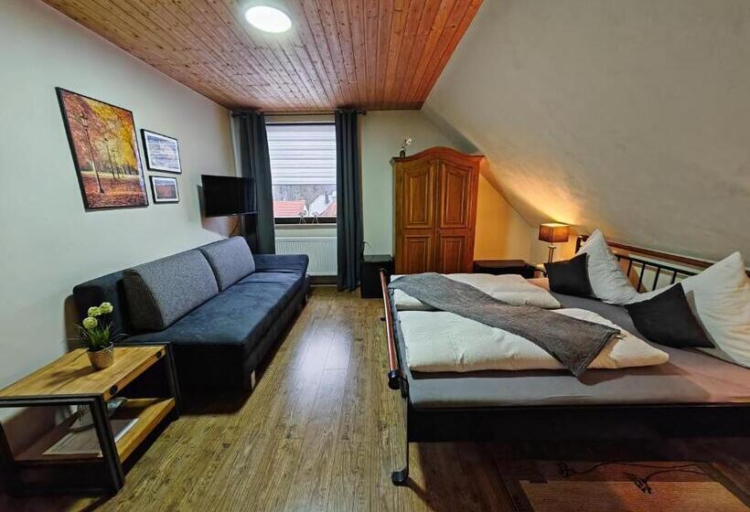 Отель Pension Wolf