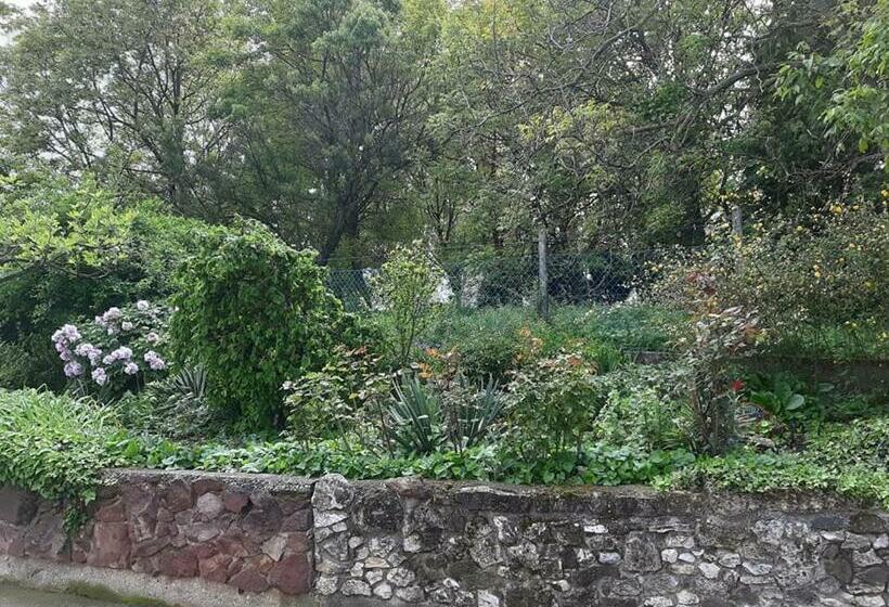 Пансион Aleksa Apartman