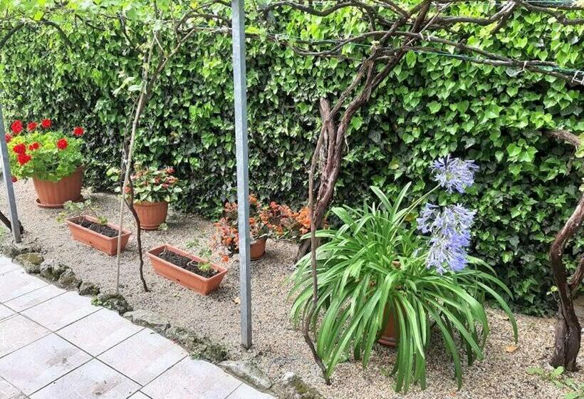 بنسيون Aleksa Apartman