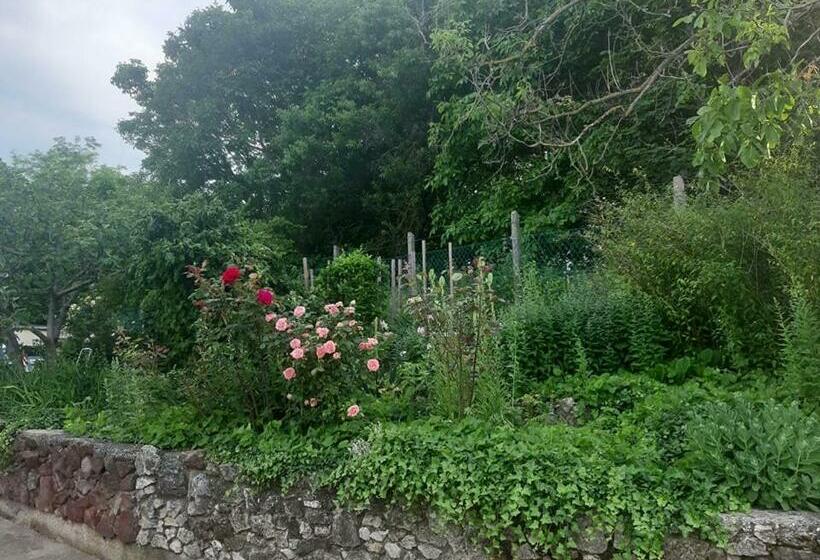 Пансион Aleksa Apartman