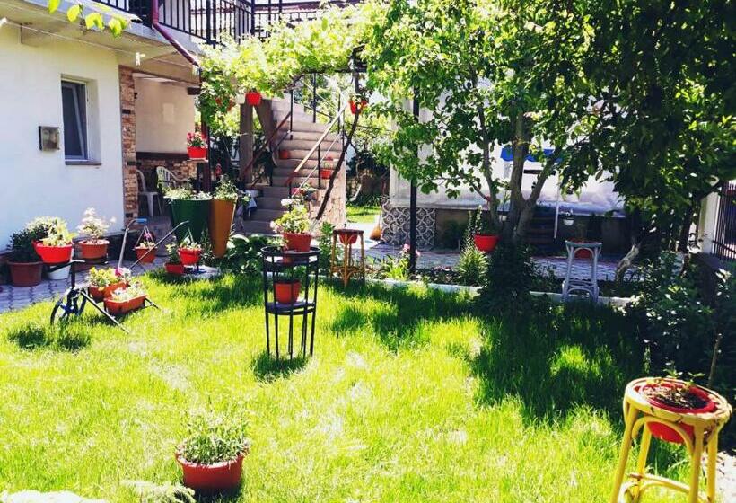 膳宿费 Casa Razvan Vama Veche