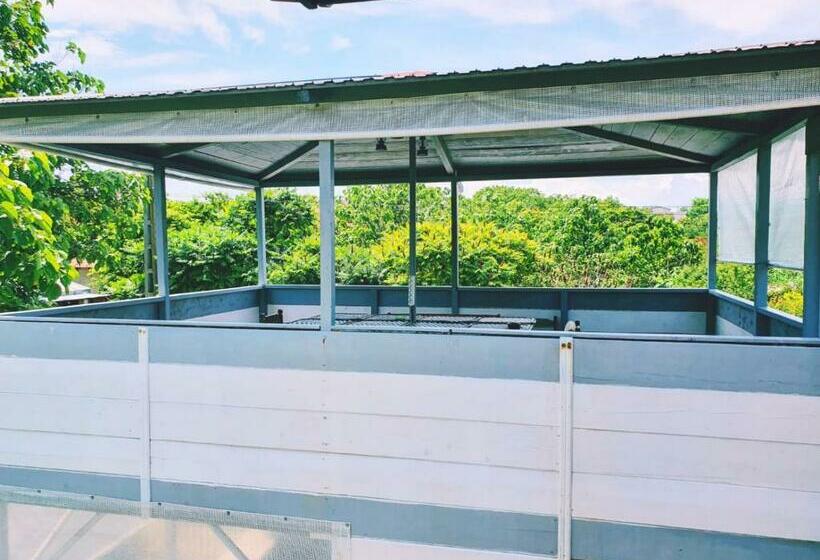 膳宿费 Casa Razvan Vama Veche