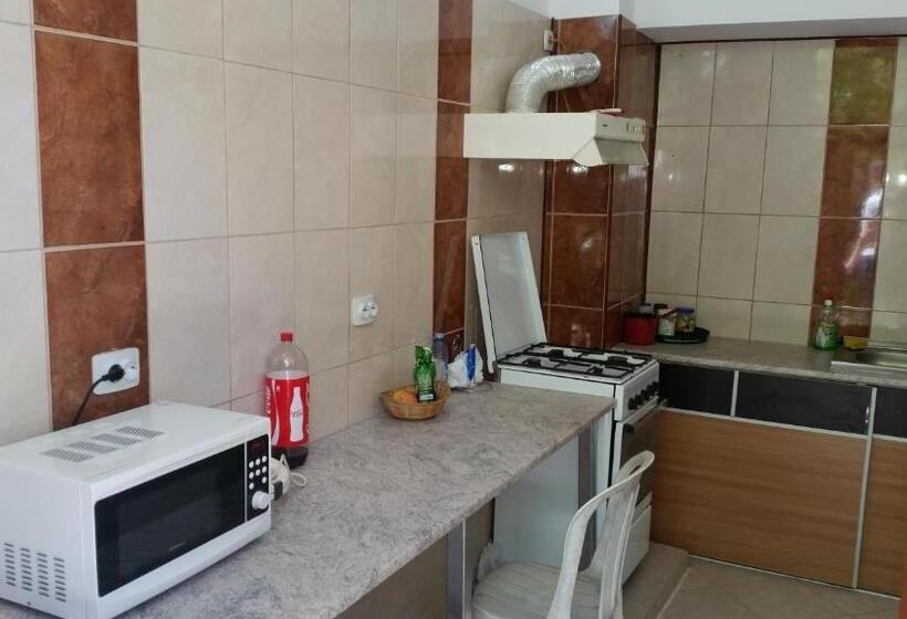 膳宿费 Casa Razvan Vama Veche