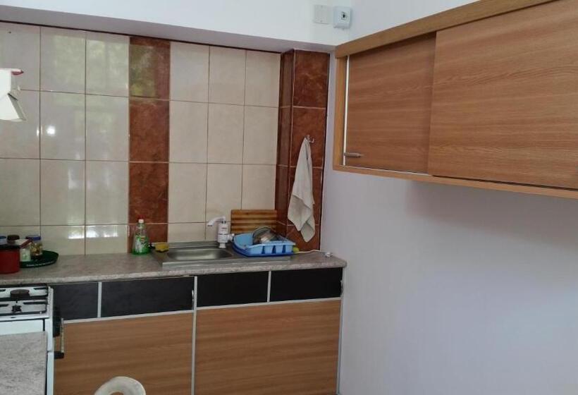 膳宿费 Casa Razvan Vama Veche