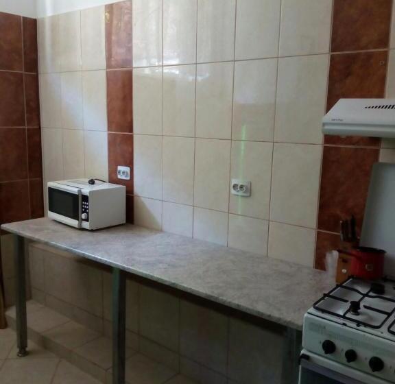 膳宿费 Casa Razvan Vama Veche