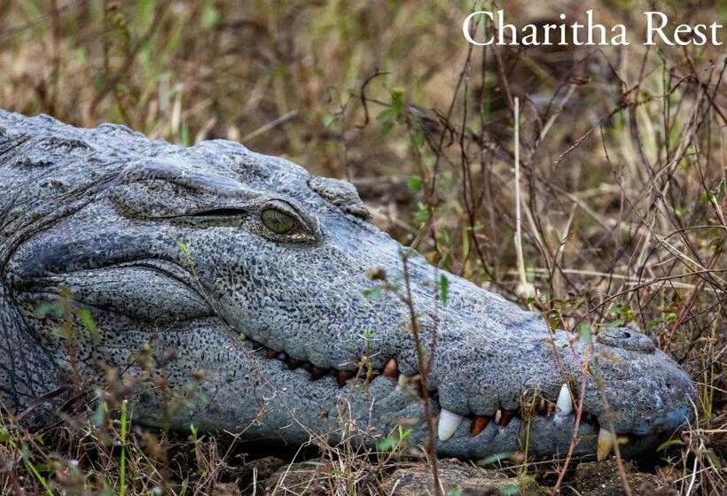 Пансион Charitha Rest