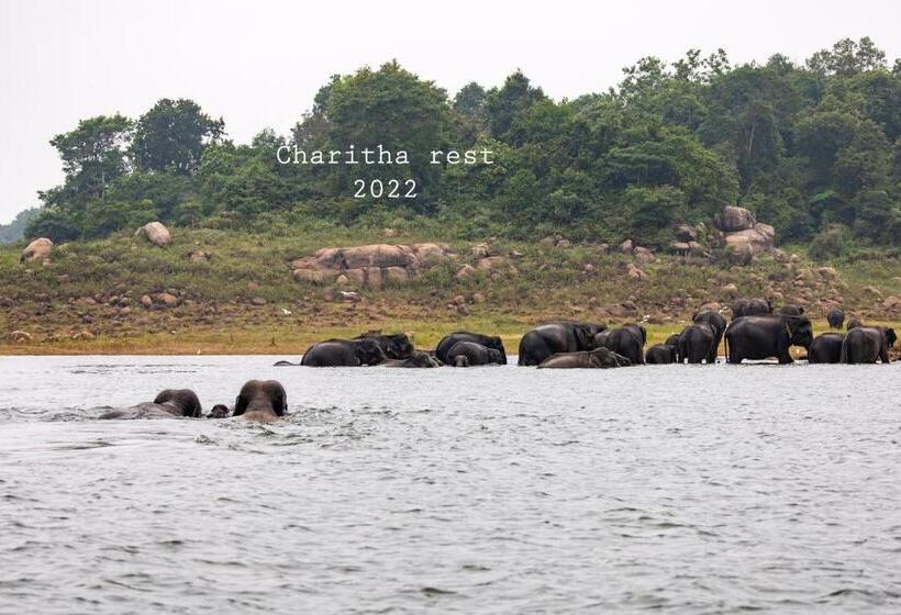 Пансион Charitha Rest