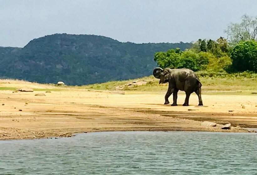Пансион Charitha Rest