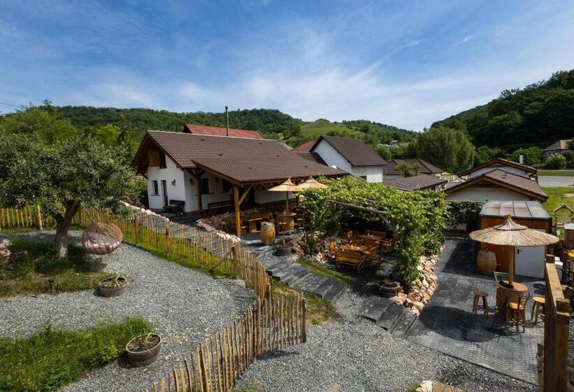 پانسیون Complex Butoaiele Transilvaniei   Cazare & Spa   Natura   Relaxare