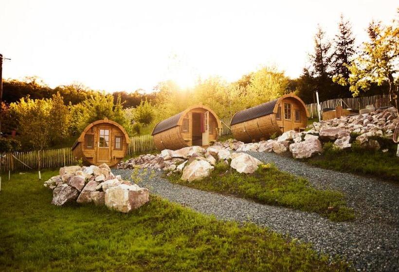 Пансион Complex Butoaiele Transilvaniei   Cazare & Spa   Natura   Relaxare