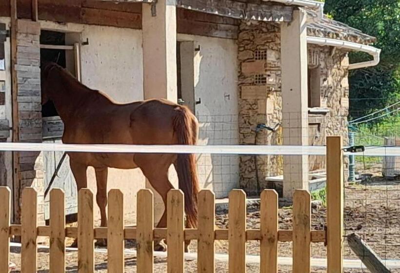 פנסיון Chambre D Hotes Manon   Domaine Les Peupliers