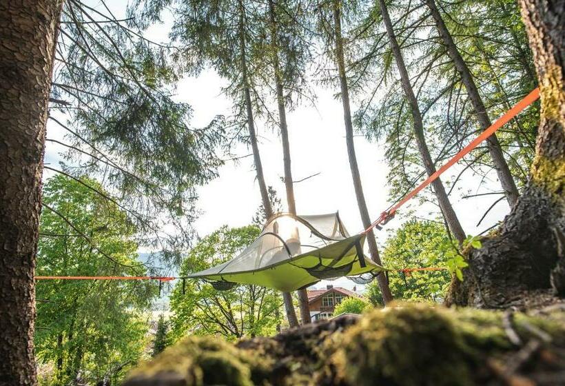 Пансион Waldchalets & Ferienwohnungen Allgäu