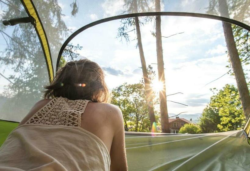 Пансион Waldchalets & Ferienwohnungen Allgäu