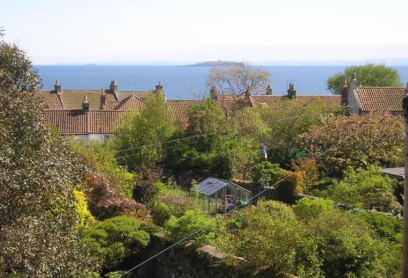 פנסיון Honeypot Guest House