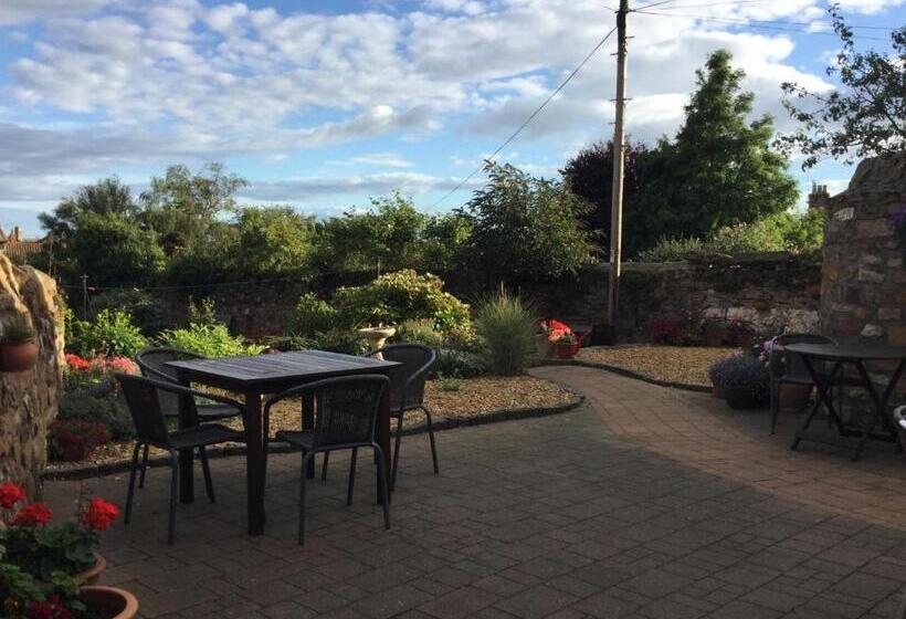 פנסיון Honeypot Guest House