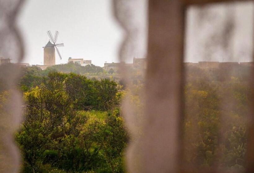 پانسیون Id Dar Ta Censu