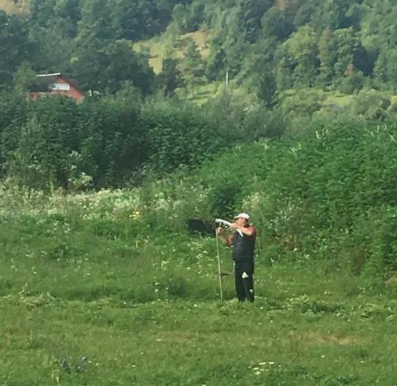 بنسيون La Ionicã Rozavlea Mm