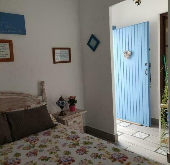 بنسيون La Lectora